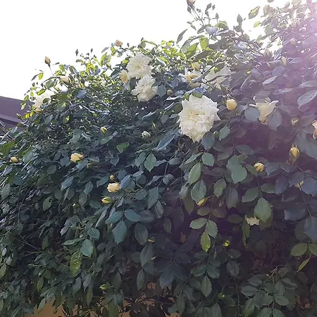 Bed & Breakfast La Cascina Di Monia E Mario 3*