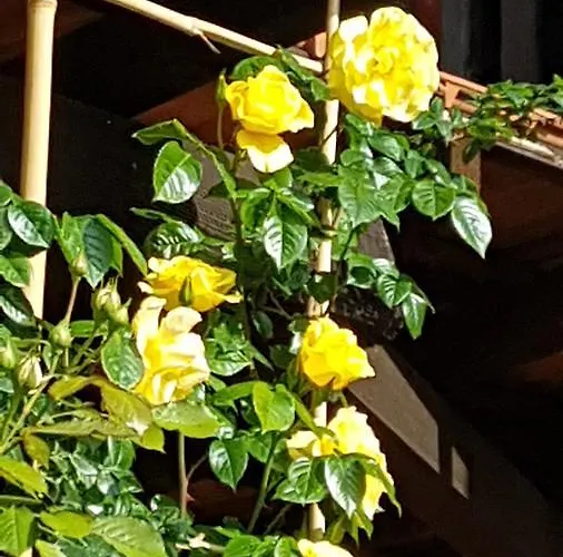 La Cascina Di Monia E Mario Bed & Breakfast