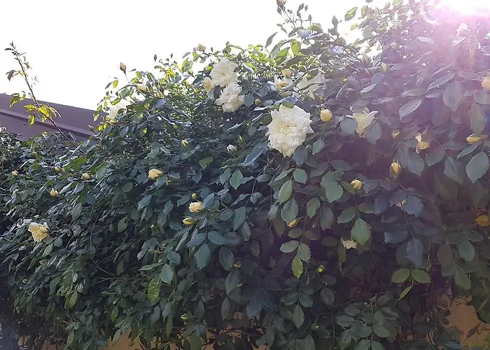 住宿加早餐酒店 La Cascina Di Monia E Mario 3*